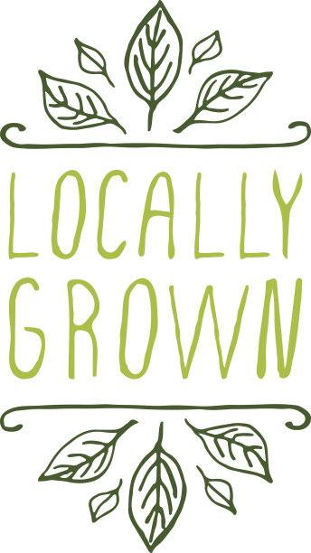 白色背景上的本地产品标签图片下载