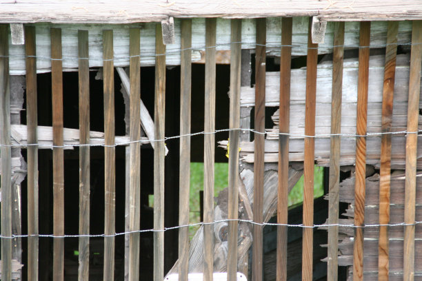 带来一些启发图片下载