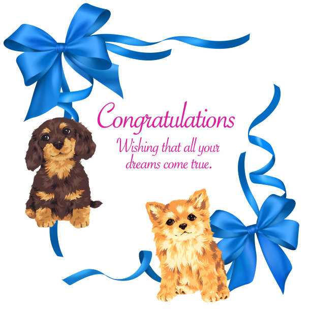 狗和丝带装饰图片下载