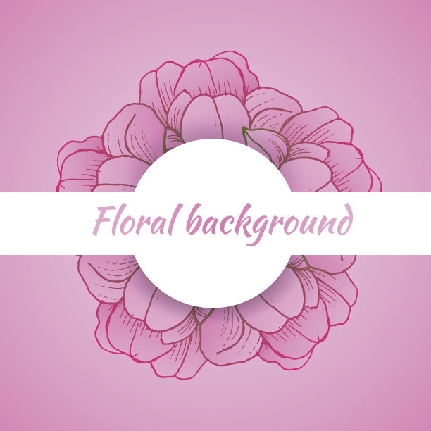 花背景与雏菊在柔和的颜色图片下载