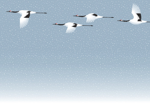 雪和起重机图片下载