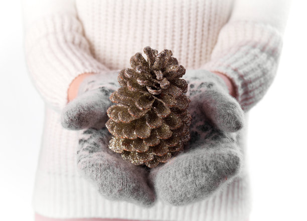 松果在双手连指手套孤立在白色背景图片下载
