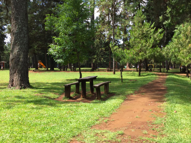 皮涅拉公园图片下载