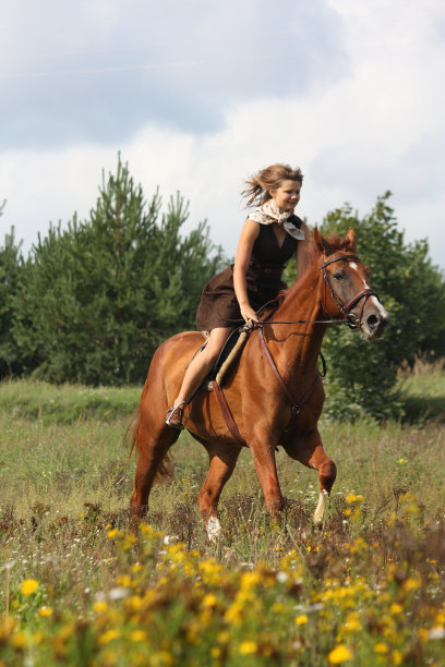 美丽的少女在田野骑马图片下载