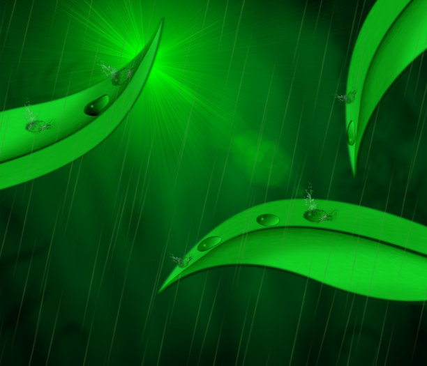 热带雨林图片下载