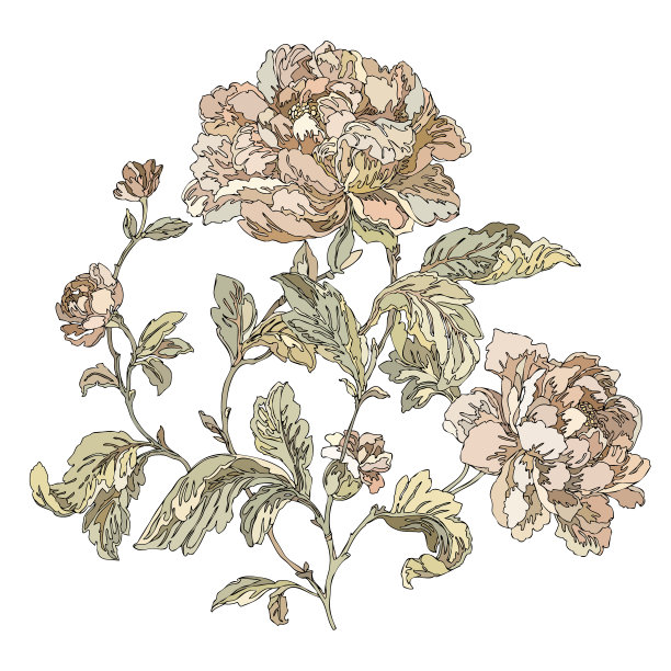 无缝图案与花玫瑰图片下载