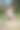 穿着粉红色裙子的漂亮女孩。图片下载