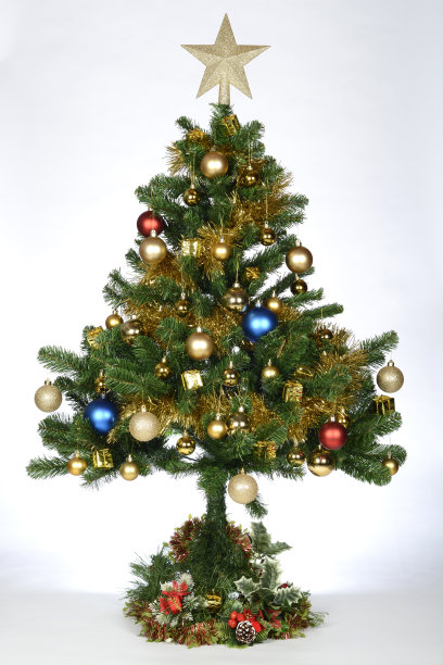 圣诞树图片下载