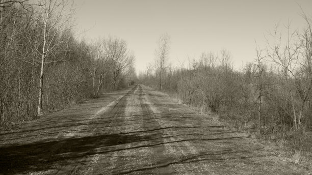 b / w路径图片下载