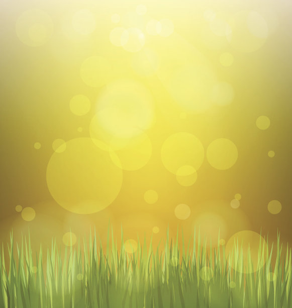 抽象的绿色背景，阳光明媚的春天图片下载