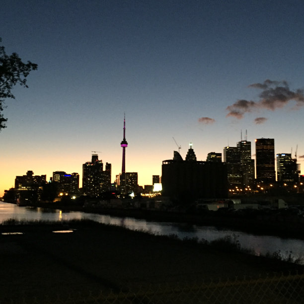 多伦多夜景图片下载