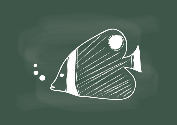 鱼，鱼的矢量画在黑板粉笔上图片下载