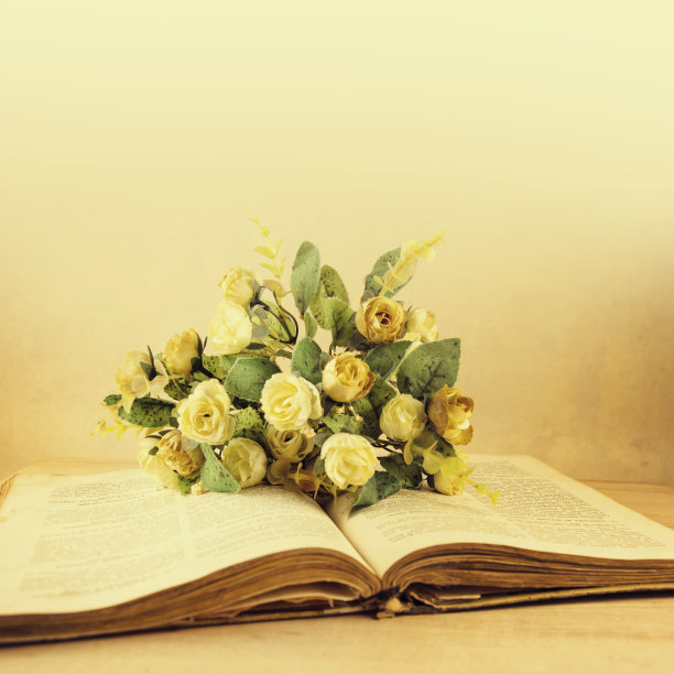 旧书上的玫瑰。图片下载