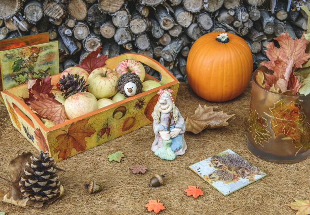 秋季手工装饰的桌子在乡村风格图片下载