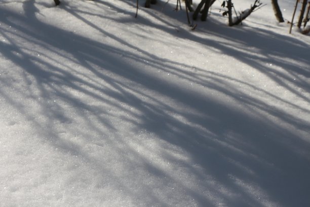 阳光照在雪上图片下载