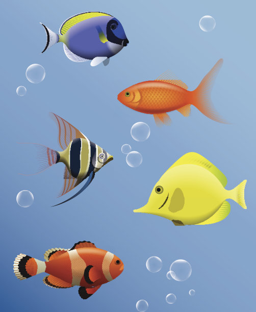水族馆的鱼图片下载
