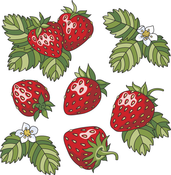 草莓图片下载