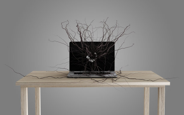 社交媒体图标设置在根。图片下载