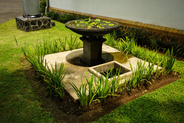 美丽的花园与绿草和喷泉的照片图片下载