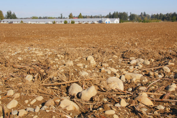 岩石农业用地图片下载