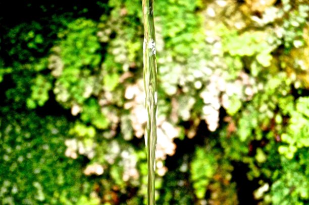 水花自然绿色背景图片下载