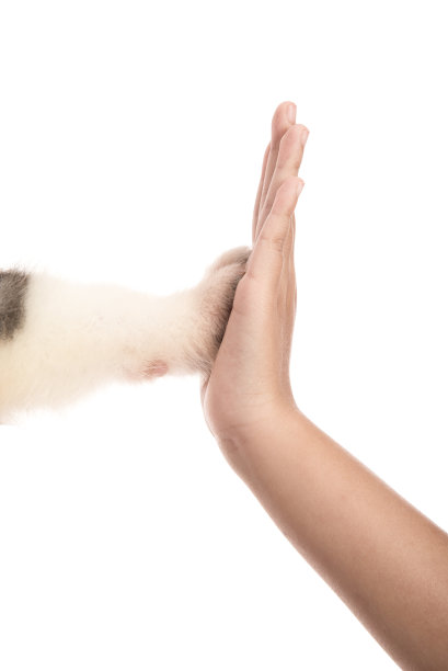 给我五图片下载