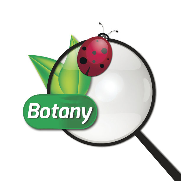 神物铺子研究图片下载