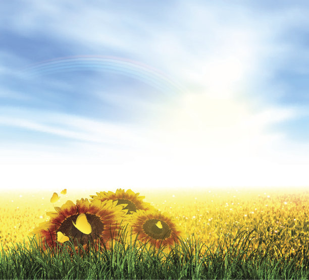 夏天，田野，天空，太阳，彩虹，草，向日葵图片下载