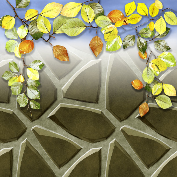 铺装地板的石头和秋天山毛榉叶的背景图片下载