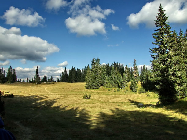 明亮的山草地图片下载