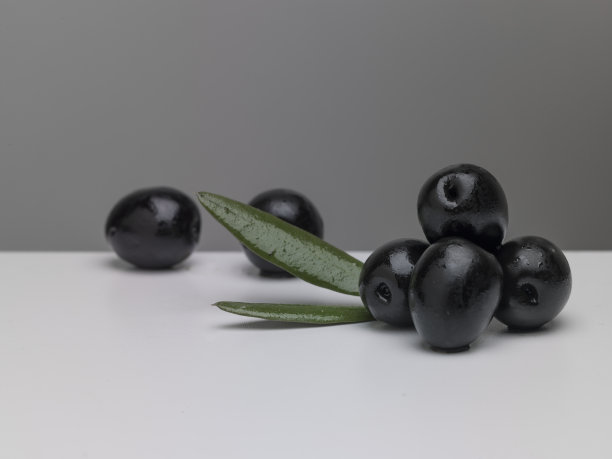 带叶黑橄榄图片下载