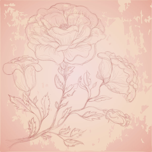 粗糙纹理上的玫瑰枝素描图片下载