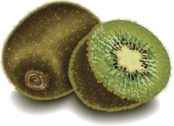 两个猕猴桃的阴影在空白的背景图片下载