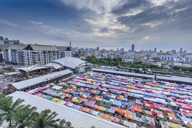 塔拉德罗德菲图片下载