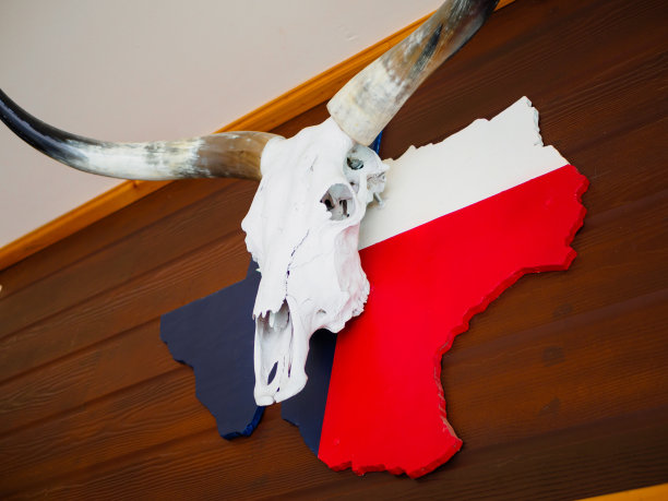 德州地图上画着长角野牛头骨图片下载