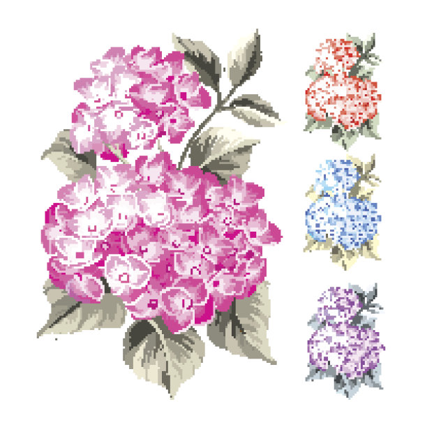 紫色的花绣球花图片下载