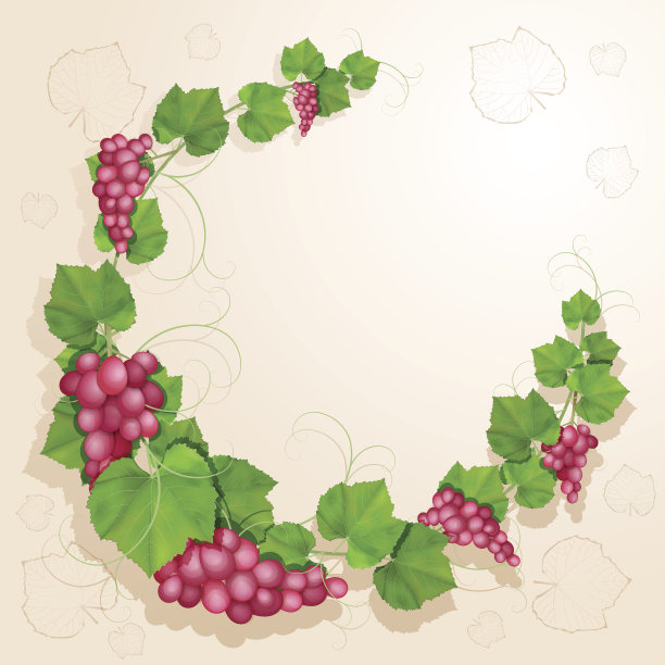 葡萄叶背景图片下载