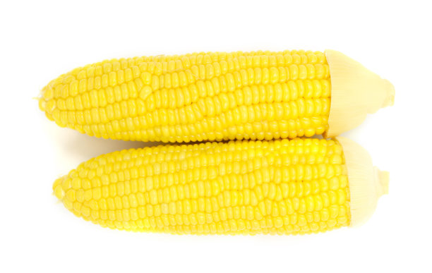 甜玉米图片下载