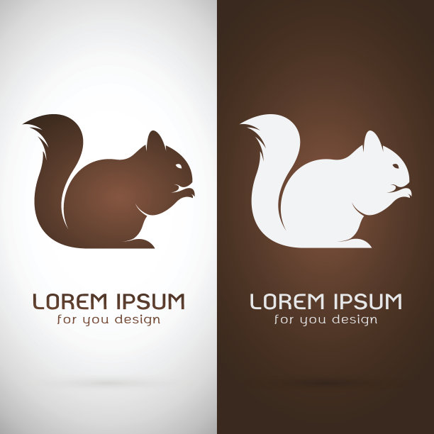 向量图像的松鼠设计图片下载