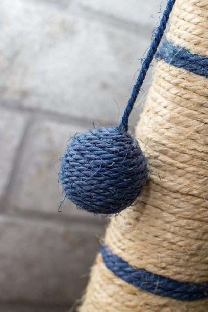 猫用球抓柱子的一部分图片下载