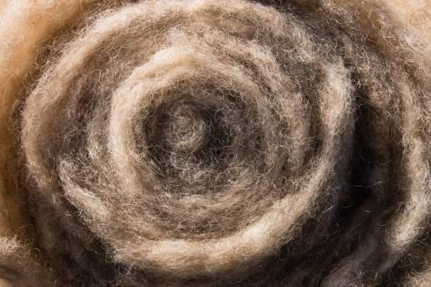 洗净梳理的羊毛，准备纺纱图片下载