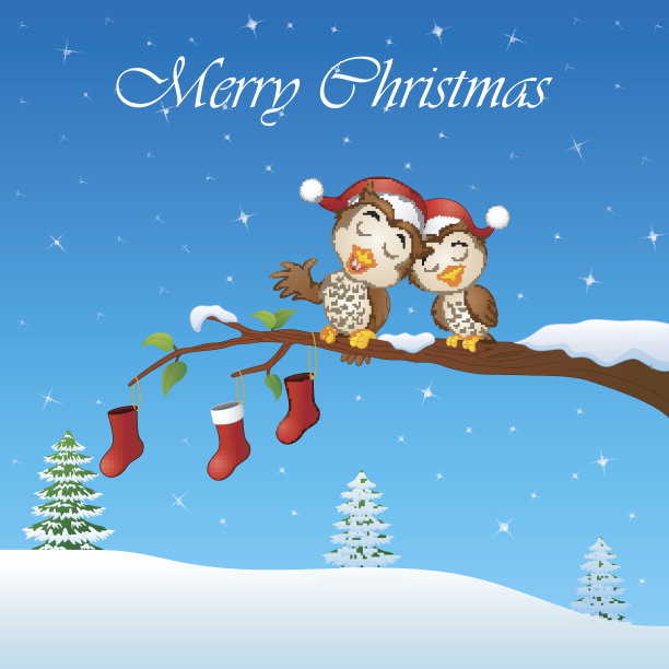 一对圣诞猫头鹰在树枝上图片下载