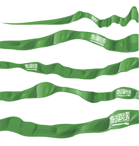 白色背景上的沙特阿拉伯国旗图片下载