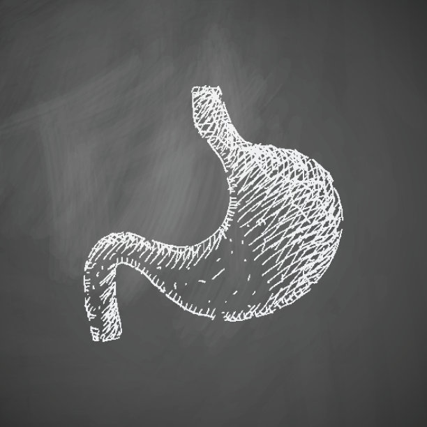 胃图标图片下载