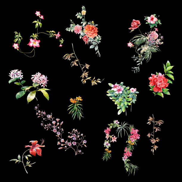 叶和花的水彩画图片下载