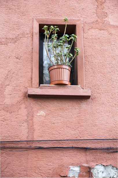粉红色的花盆在窗户上图片下载