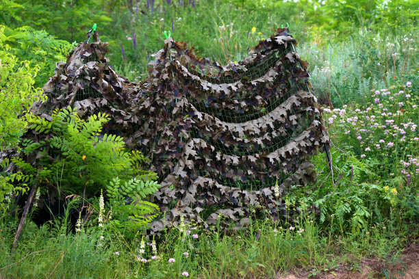 为伏击而伪装的帐篷图片下载