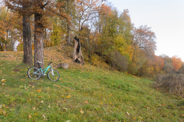 山地车停在树旁图片下载