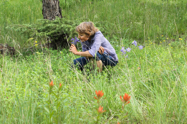 欣赏野花的成熟女人图片下载