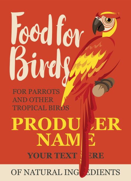 标签喂养热带鸟类图片下载